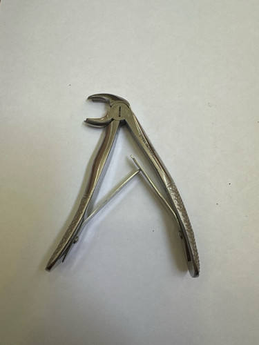 469.Image.181649.jpg