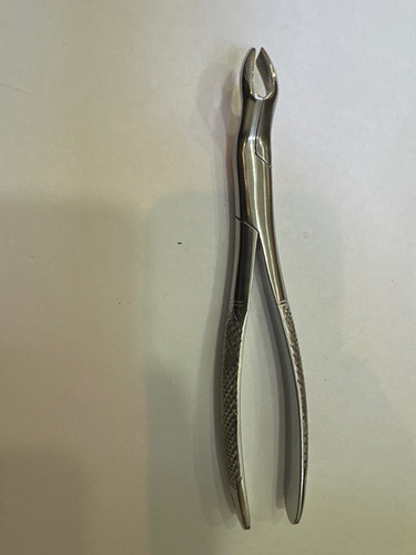 515.Image.190831.jpg