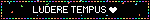 blinkiesCafe TY.gif