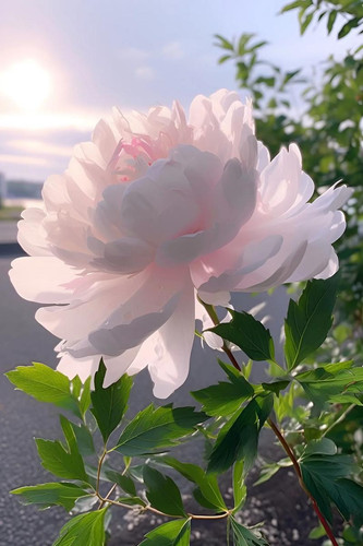 u=2643217934,4197344975&fm=253&app=138&f=JPEG.jpg