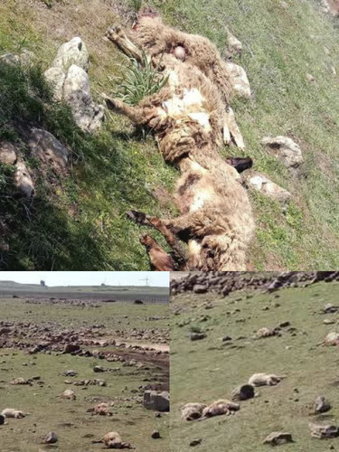 ZedhyTD6W 5 Z4Nc8JeZgAWJrqYge8 F74c4RCKeR8j2Enmx7IFMXmuhp73wJ4hExPAh VsITLPvnou4P eAc78a EZVKuBLIwc9.jpg