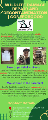 Wildlife Damage Repair and Decontamination | Goneforgood.jpg