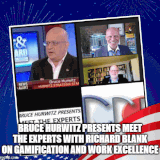 Bruce Hurwitz Presents MEET THE EXPERTS with Richard Blank on Gamification and Work Excellence.gif