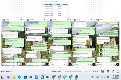 Screenshot 2025 03 13 194519.png