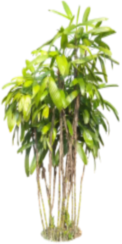 2ed137ae b74b 4de6 955b e7ac66838732.png