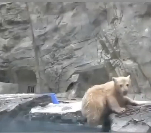 dPZbPpXFjrzVH Fy.jpg