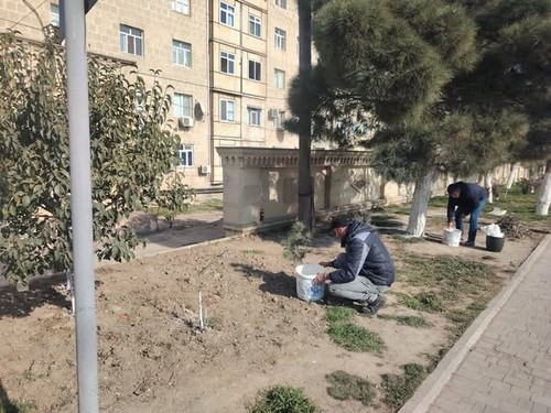 483860462 1084718443698346 4614745755784032029 n.jpg?stp=dst jpg s600x600 tt6& nc cat=103&ccb=1 7& n.jpg