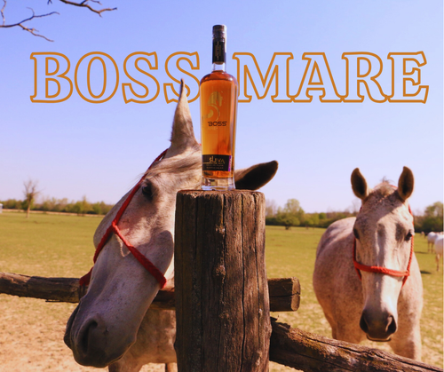 BOSS MARE HERO (Facebook Post) (1).png