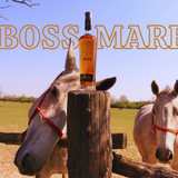 BOSS MARE HERO (Facebook Post) (1)