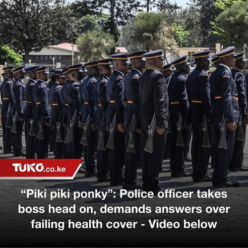 484075202 982964967309085 6186877186796377840 n.jpg?stp=dst jpg s600x600 tt6& nc cat=103&ccb=1 7& nc.jpg