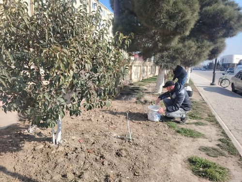 484150630 1084718457031678 5282889048303286421 n.jpg?stp=dst jpg s600x600 tt6& nc cat=110&ccb=1 7& n.jpg