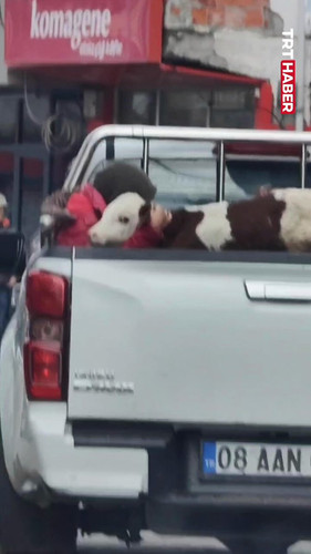 TMRS0ReQChwqA05J.jpg