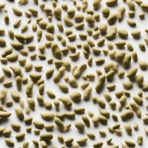 43046571137288051691741465852621.jpg