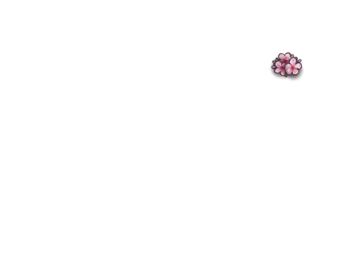 Cherry Blossom Adult Female.png