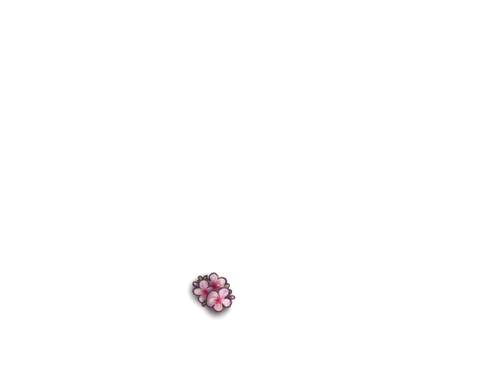 Cherry Blossom Cub Newborn.png