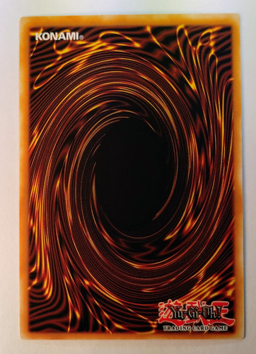 IMG 20250312 094803650.jpg