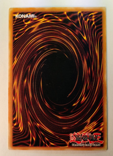 IMG 20250312 094906731.jpg