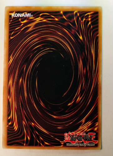 IMG 20250312 095208680.jpg