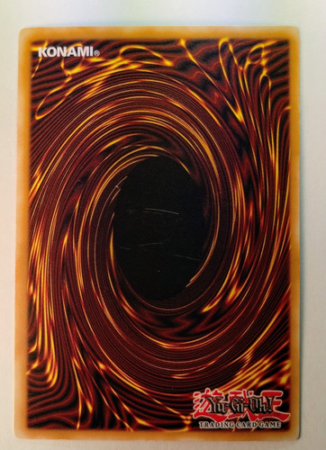 IMG 20250312 095511497.jpg