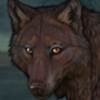 Untitled48 20250309210920.png
