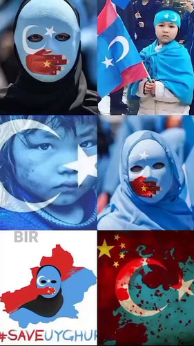 dnvROcMAEf0zSoAy.jpg