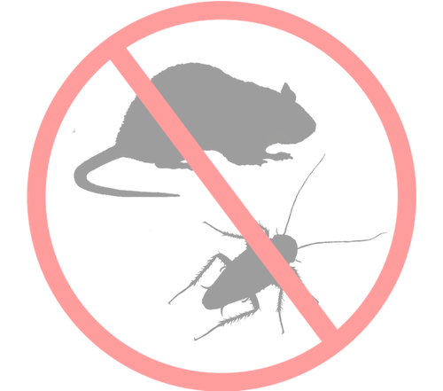 pngwing.com.png