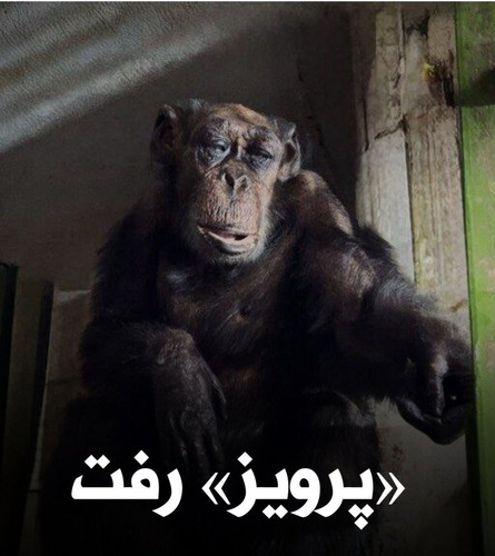 Gl7Y rqW0AAr5iI.jpg