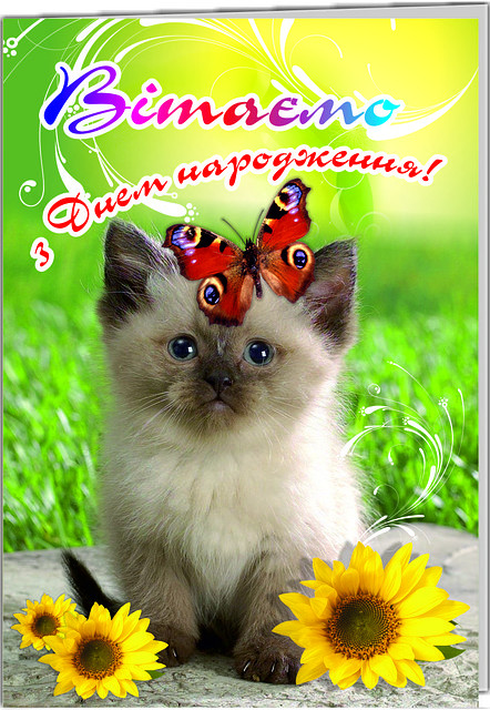 35653312 listivka podvijna vitayemo.jpg