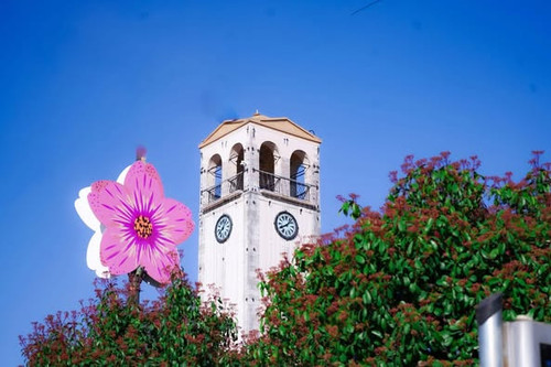 484187967 1130574985534182 1553591191871640533 n.jpg?stp=dst jpg p526x395 tt6& nc cat=108&ccb=1 7& n.jpg