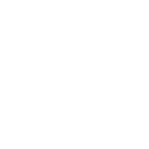 isotipo datasharing 3.png