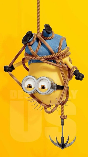 mi1.jpg