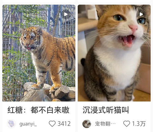 Screenshot 20250313 215943.jpg