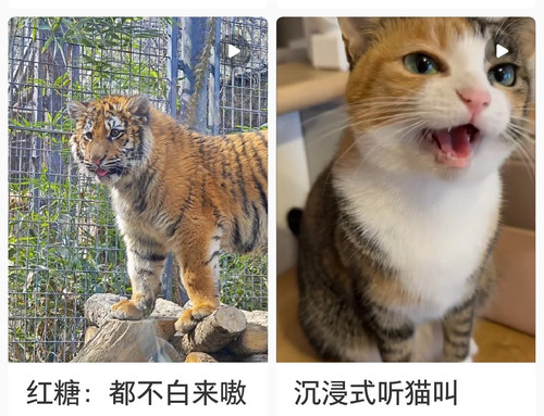 Screenshot 20250313 220142.jpg