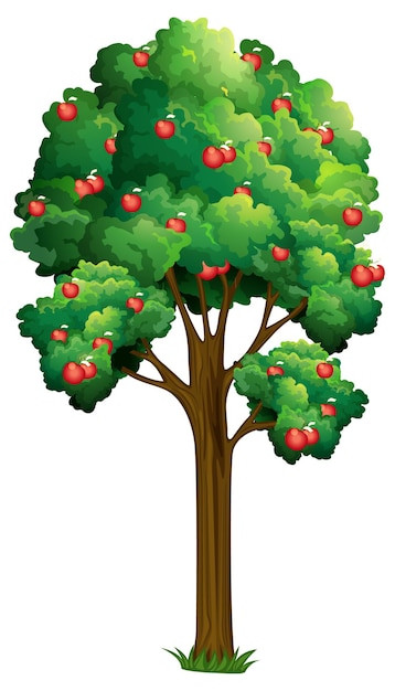 image search 1741834630032.jpg