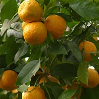 31cde8a64fb9.png