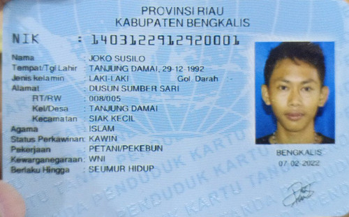 photo 2025 03 12 21 40 24.jpg