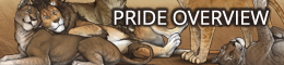 prideoverviewbanner.png