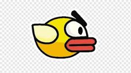 bird.jpg