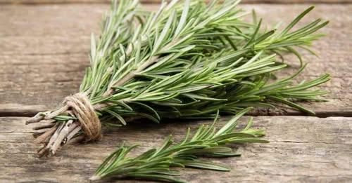 9683028543790443950?url=https%3A%2F%2Fmediahub.am%2Fuploads%2Fimages%2F2025%2F02%2Fimage 750x 67ae2d.jpg