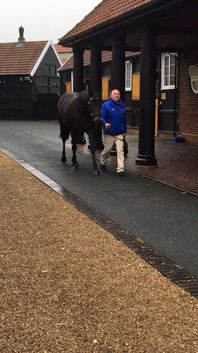 R6yY400Kggav tVc.jpg