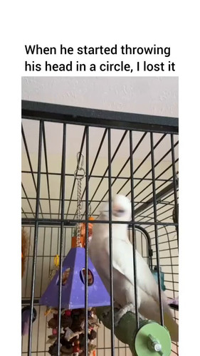 ydzu9BrpjiHO4mQy.jpg