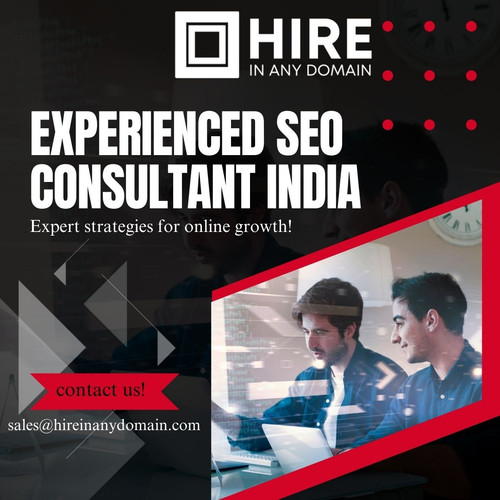 Experienced SEO Consultant India.jpg