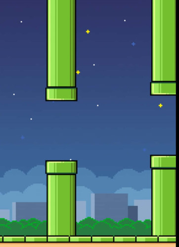 flapi bird.jpg