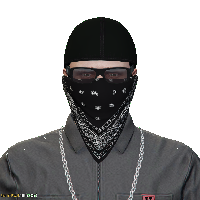 b12da2296333.png