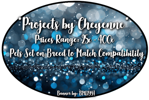 projects by cheyenne