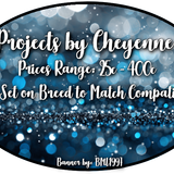 projects by cheyenne