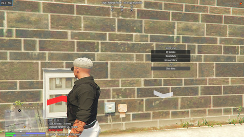 FiveM GTAProcess D3Wq0NwJzq.jpg