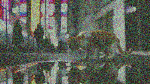 g3iNZ WPq Vx36OA.jpg