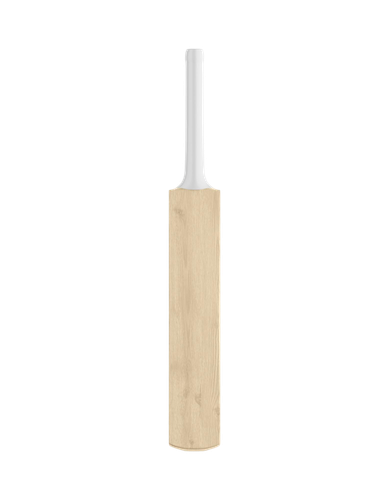 image cricket bat isolated white background.png