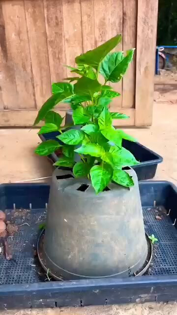 MlGvjllYY jWe9Jz.jpg